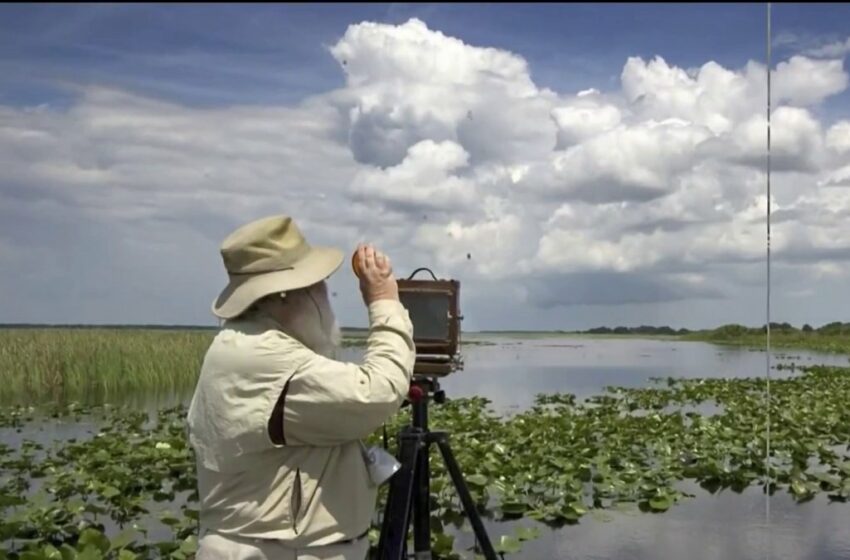 Activistas muestran preocupación por el medio ambiente en los Everglades – Telemundo 51