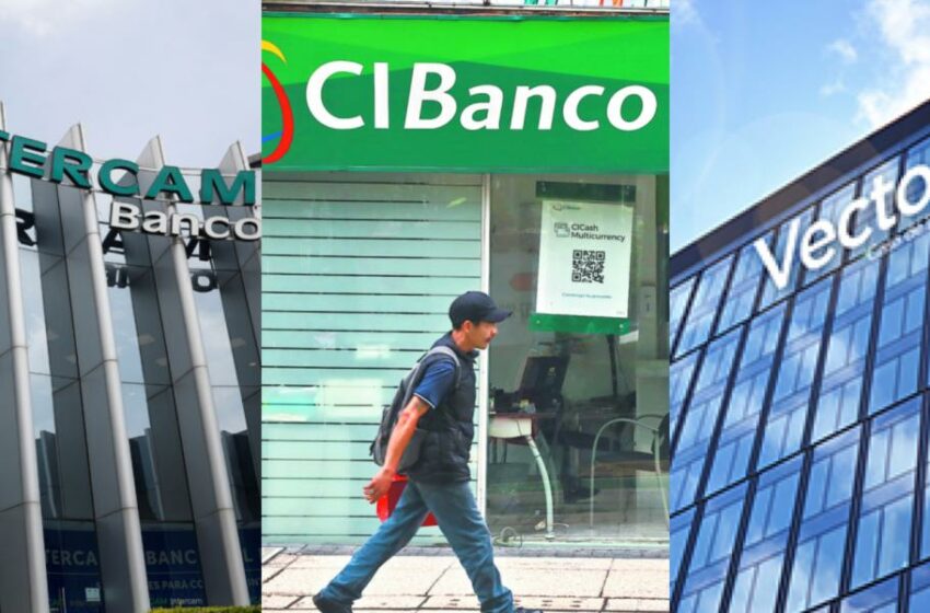 CiBanco, Intercam y Vector: Situación tras intervención de la CNBV
