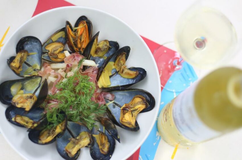  Balance del Mes de los Océanos en CDMX: reflexión y cocina sostenible en Huerto Roma Verde