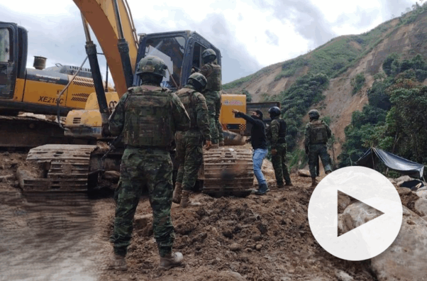  ¿Por qué el alto precio del oro se ha convertido en un problema para Ecuador? – Primicias