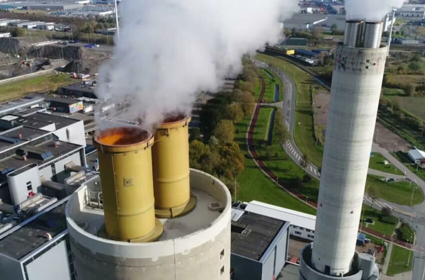 Trump elimina norma que limitaba emisiones contaminantes de autos y plantas energéticas