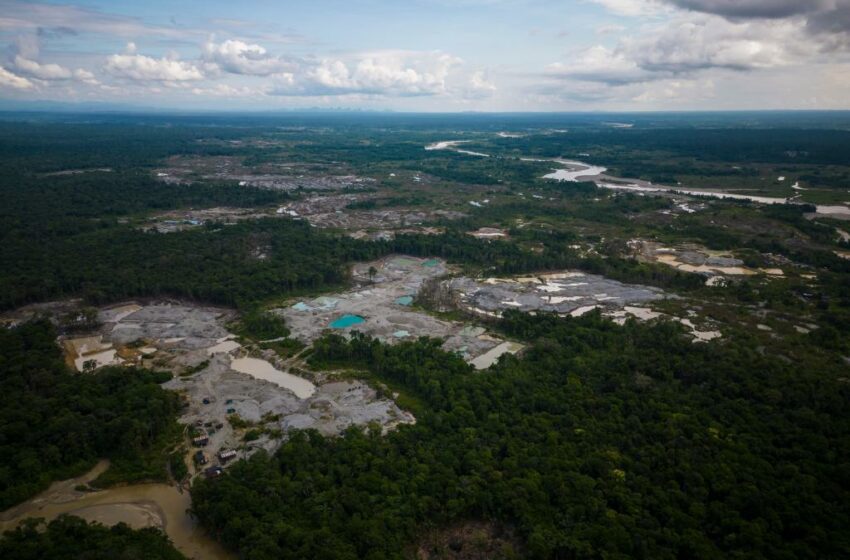 La deforestación de la Amazonía aumenta en Colombia, revirtiendo avances históricos