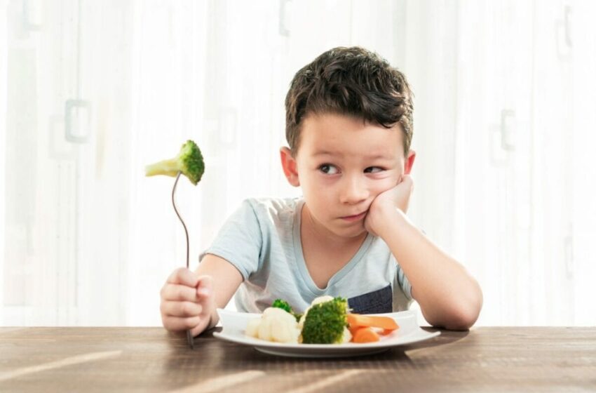 Cómo lograr que los niños acepten nuevos alimentos sin presión – La Verdad Noticias