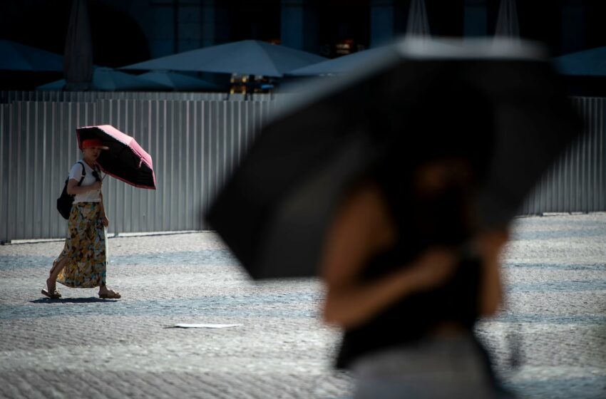Un estudio cifra en 458 las muertes que se cobró la última ola de calor solo en Madrid y Barcelona