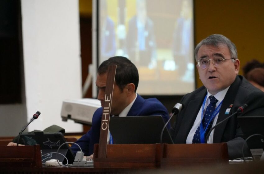 Chile refuerza su liderazgo en la protección de los fondos marinos en foro internacional en Jamaica