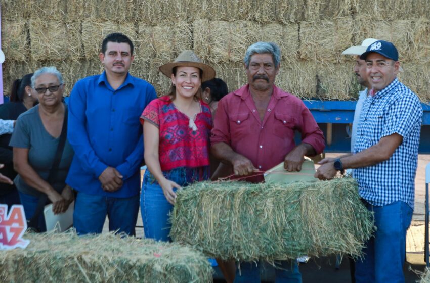 Refuerza La Paz atención a la zona rural con apoyo a ganaderos – Diario Humano