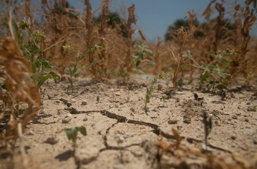 Los europeos respaldan mayoritariamente la acción por el clima, según una encuesta