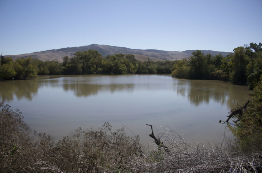  La cuenca del río Pájaro es el foco de una serie de talleres de visión financiados por el estado