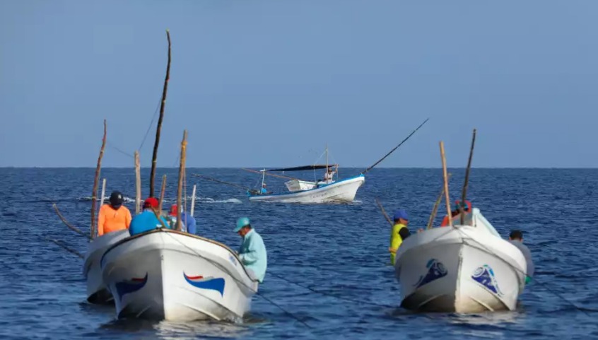  Crisis en el sector pesquero – Sol Yucatán