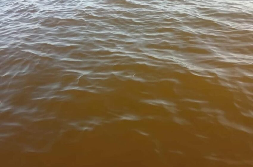 Llega la marea roja a Yucatán – Sol Yucatan