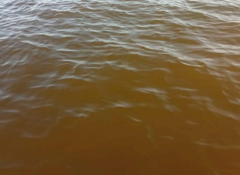 Pescadores alertan por llegada de marea roja en Dzilam de Bravo – Reporteros Hoy