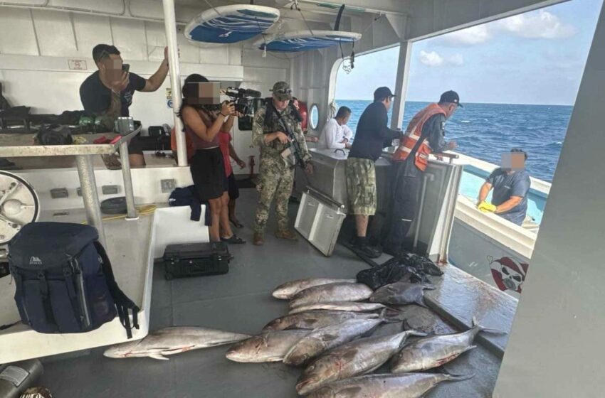 Marina retiene yate por pesca ilegal en el Arrecife Alacranes, Yucatán – La Verdad Noticias