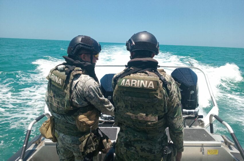 Asegura Marina embarcación con productos de pesca en veda en Dzilam de Bravo