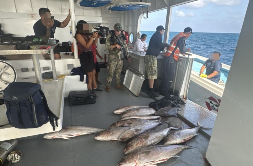 Retienen yate sin permisos para pesca y buceo en Arrecife Alacranes – Quadratín Yucatán