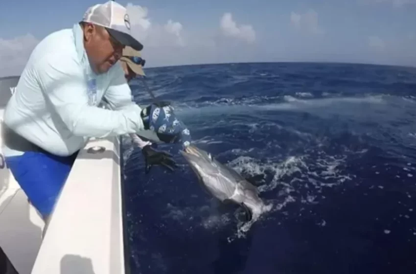 Aplazan cobro para permisos de pesca deportiva y recreativa en Quintana Roo