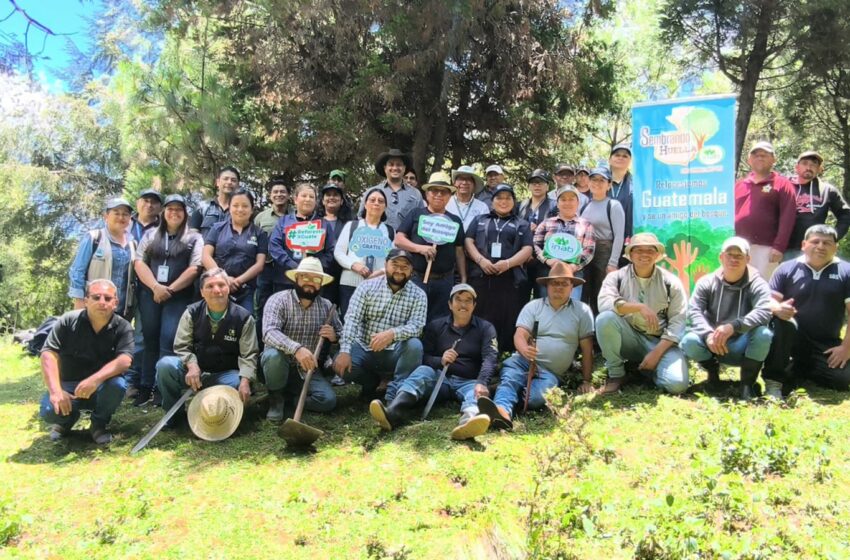 Jornada de reforestación reafirma el compromiso con la protección del medio ambiente