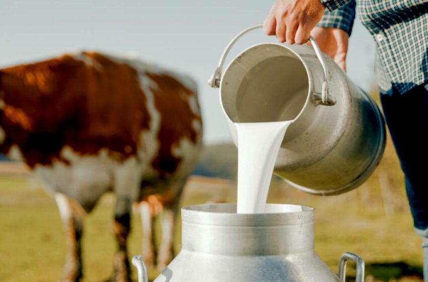 4 alimentos que evita una ingeniera de alimentos: ¿Te gusta la leche cruda? – UnoTV