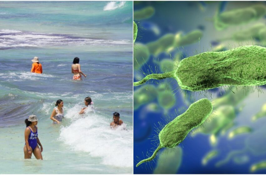 Alertan por bacteria "come carne", cómo cuidarse en vacaciones – UnoTV