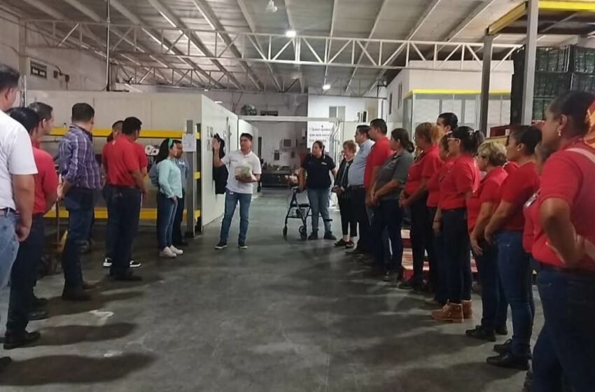 Banco de Alimentos redobla esfuerzos para frenar el hambre en Nuevo Laredo, Tamaulipas