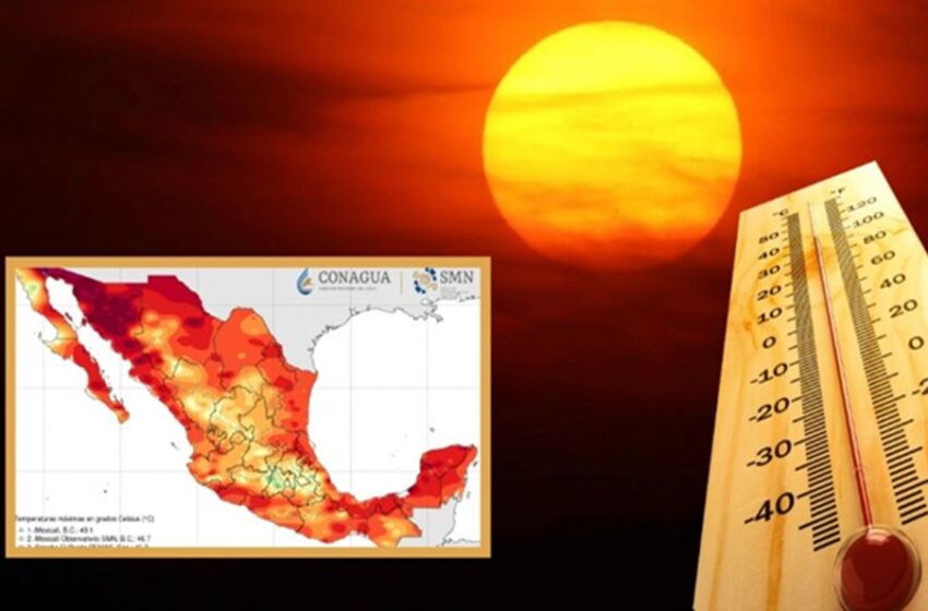 En estos 14 estados habrá calor extremo este miércoles 16 de julio – La Verdad de Tamaulipas