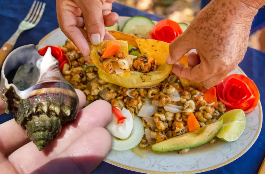 Las chivitas, de conquistar la cocina yucateca a estar en peligro – Posta Mx