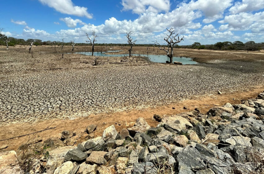  El cambio climático dispara las pérdidas económicas en Europa: más de 45.000 millones en 2023