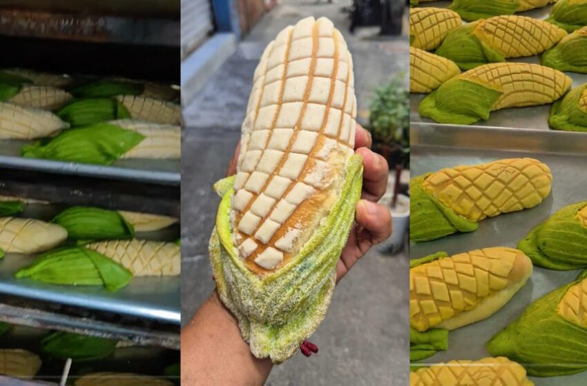  Conchalote: el pan viral que conquista la CDMX, ideal para acompañar con un café