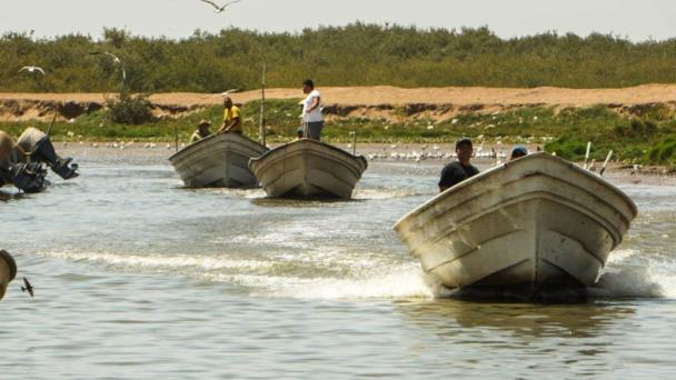 Pesca en crisis
