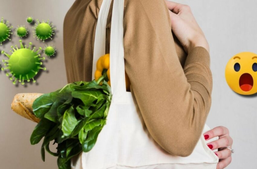 ¿Bolsas reusables pueden contaminar la comida? Ingeniera en alimentos lo explica