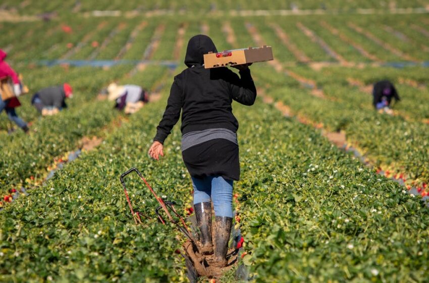Los inmigrantes en Europa y Norteamérica ganan un 18 % menos que los nativos: aquí las razones