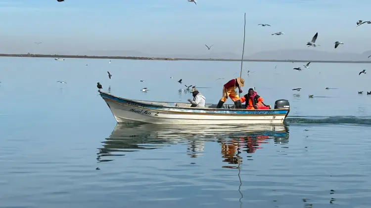  Proyectos sonorenses ganan Premio a la Pesca Sustentable 2025 – El Diario de Sonora