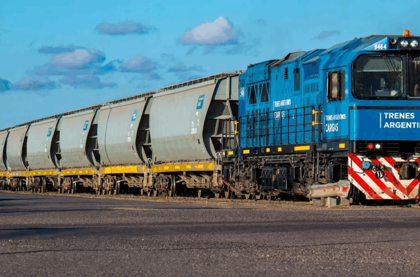 Privatizaciones, minería y ferrocarriles: una minera tras el Belgrano Cargas – Sitio Andino