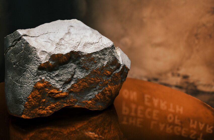  El meteorito más grande de Marte hallado en la Tierra es vendido; es el más valioso en una subasta