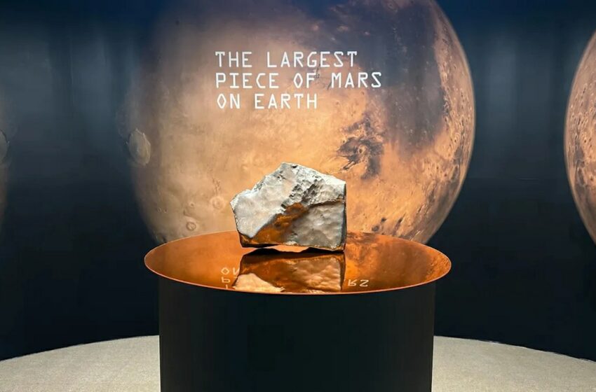 Subastan un meteorito marciano por 5,3 millones de dólares: el kilo de Marte cuesta más que una casa