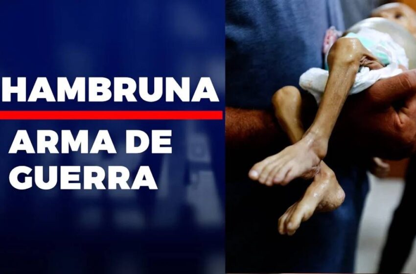 "Será viral": Mueren civiles de hambre en Gaza; exigen a Israel cese al fuego – UnoTV
