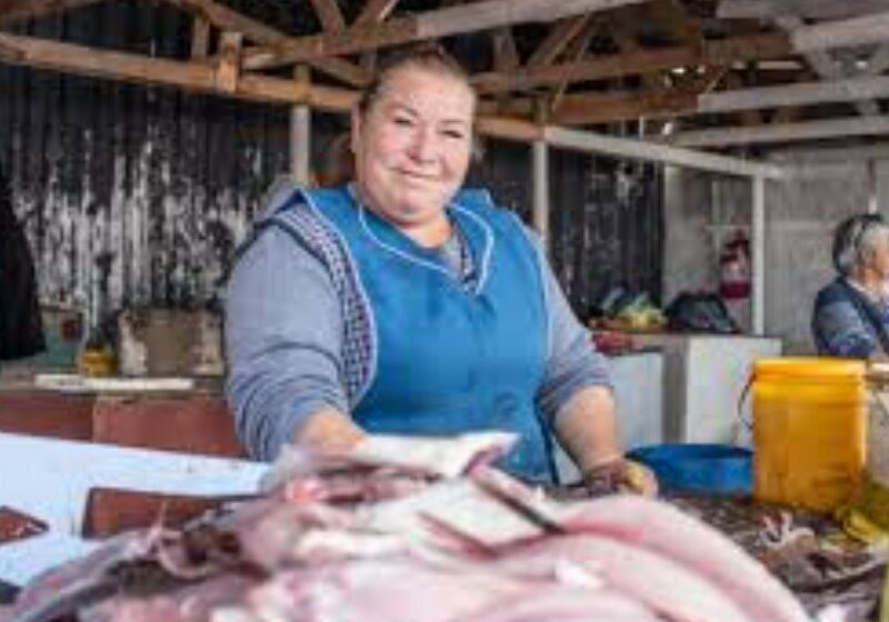 Mujeres de la pesca papel fundamental en el gremio – Meganoticias.MX