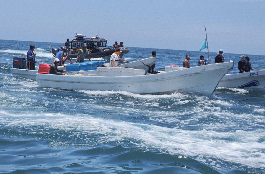 Reportan 3 detenidos por pesca ilegal en Yucatán