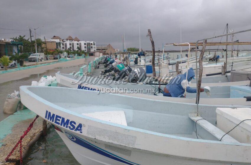 Pesca en la costa oriente de Yucatán sufre caída del 50%; señalan condiciones adversas