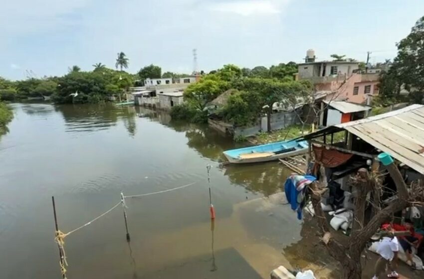 Río Tamesí inunda casas, pero familias se niegan a irse de sus hogares- Grupo Milenio