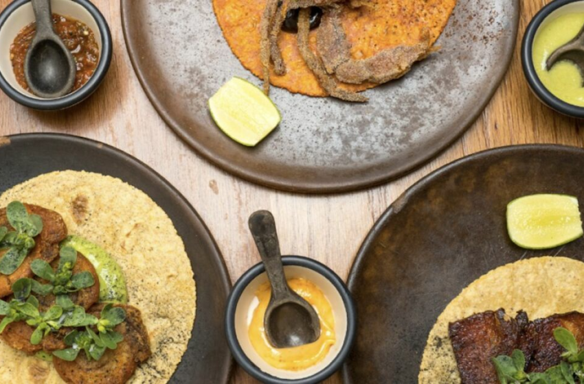 Top 5 restaurantes en Veracruz que tienes que conocer – Quien