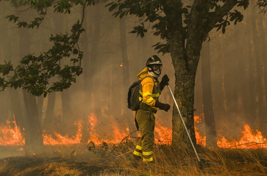  La Fiscalía de Medio Ambiente investiga si los municipios afectados por incendios tienen …