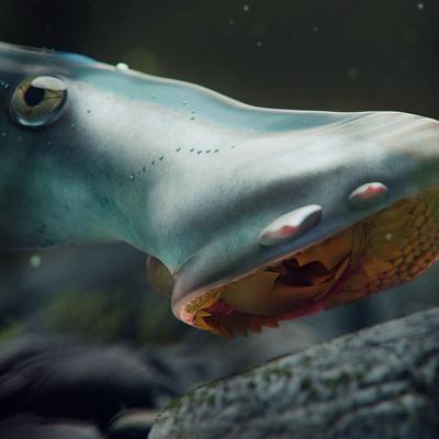 El hallazgo de un pez prehistórico que arrancaba la carne de sus víctimas ofrece claves evolutivas