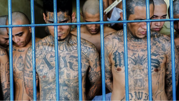 Presos salvadoreños en el CECOT, acusados de pertenecer a las "maras", sus tatuajes son carácteristicos del grupo