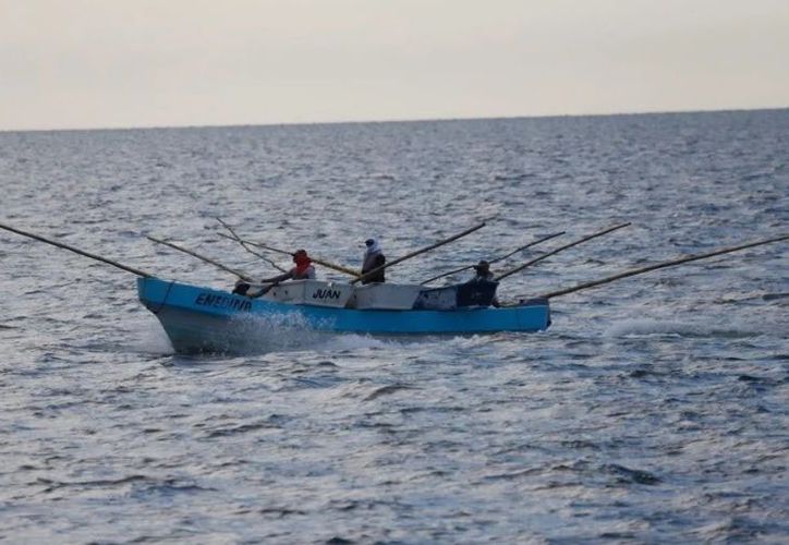 Pesca recreativa sin control ante ausencia de asociación activa – Grupo SIPSE