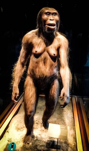 Huesos fragmentados del fósil Lucy saldrán de Etiopía para exhibirse en Europa