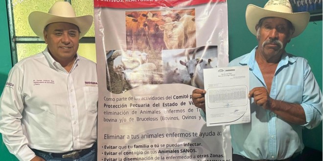 Gobierno del Estado implementa programa de eliminación de Brucelosis en animales