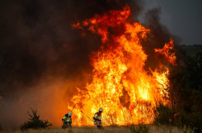  Calor extremo, récord de incendios y un Mediterráneo recalentado: España queda atrapada …