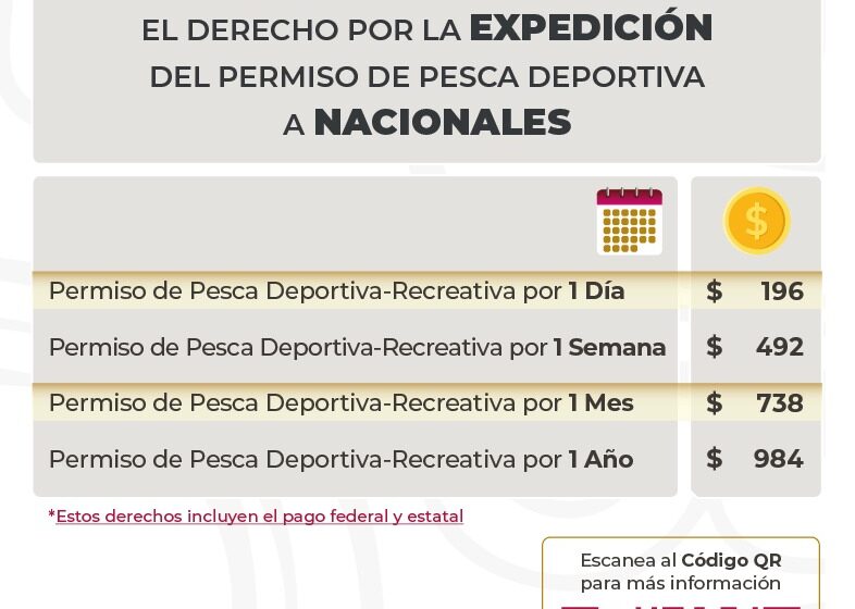 Impulsa Sefiplan la pesca deportiva y recreativa con estímulos para nacionales y extranjeros