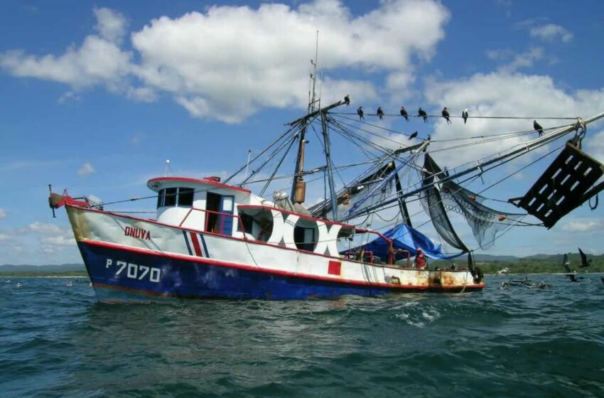  Reducen flota para pesca de camarón – Campeche HOY