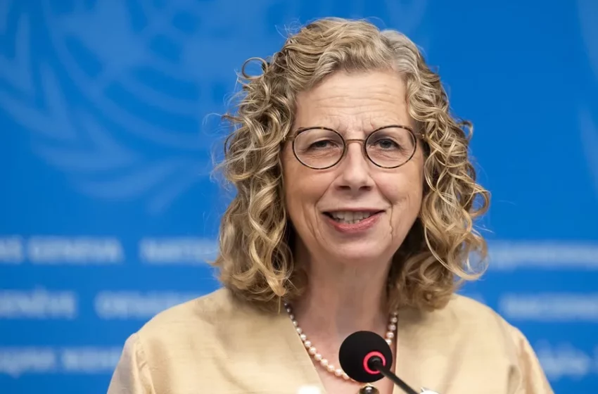 Directora del Programa de las Naciones Unidas para el Medio Ambiente: pese a la maraña … – EFE